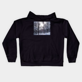 Sun through the trees Kids Hoodie